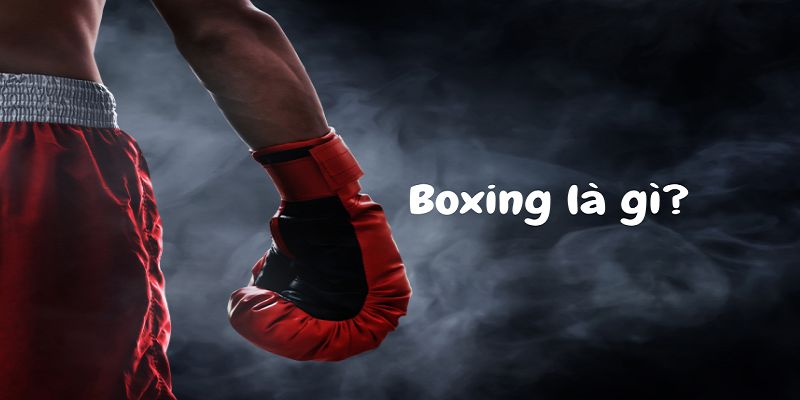 Boxing là bộ môn thể thao như thế nào